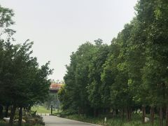 -府河摄影公园