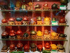 -大唐贡茶院