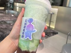 -TD66高山铁皮石斛养生茶饮