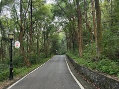 -潜山国家森林公园
