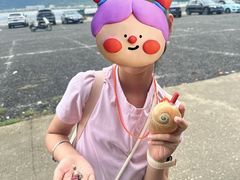 -北岐滩涂