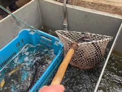 -姥家大锅台水库渔家
