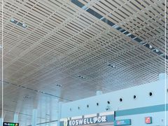 -厦门高崎国际机场-T3航站楼