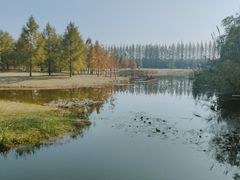 -黄海国家森林公园