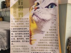 -平行世界·猫咖(首经贸店)