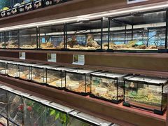 -帕帕拉兹宠物(亚洲旗舰店)