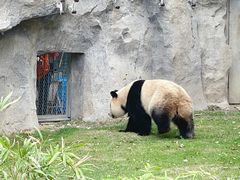 -上海野生动物园