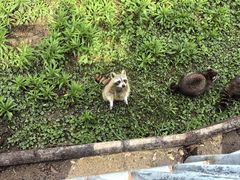 -宁波野生动物园
