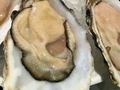 -Oyster Talks 四度蚝法餐厅