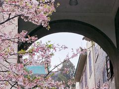 -武汉大学-樱园