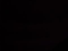 -朱村黄塘建华烧鸡