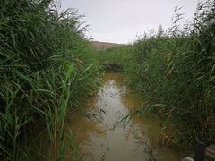 -水洞沟旅游区
