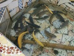 -老猎户炭火锅羊汤(万达店)