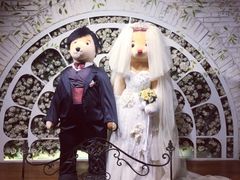 -济州岛泰迪熊博物馆