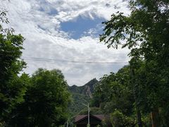 -大岭沟猕猴桃谷风景区