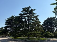 -青岛德国总督楼旧址博物馆