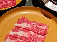 -牛New寿喜烧(金鹰世界店)
