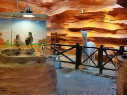 -酷嗒动物文化乐园(cutezoo西溪乐天城店)