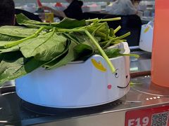 -龍歌自助小火锅(芝罘万达店)