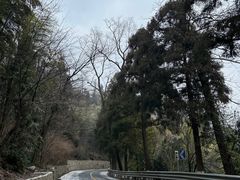 -莫干山风景区
