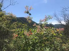 -稻香湖景欢乐岛温泉城堡