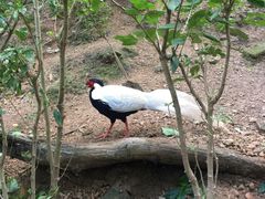 -湄公河秘制烤鱼(西双十贰城商业中心店)