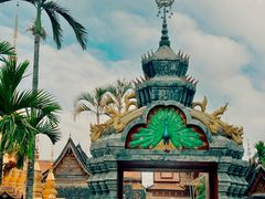 -西双版纳傣族园