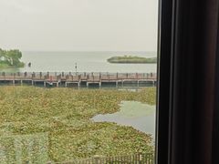 -新木器时代餐厅(太湖新天地店)