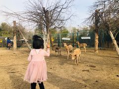 -北京麋鹿生态实验中心