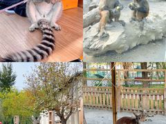 -水上乐园·欢乐世界