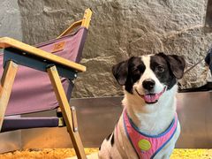 -J Create城市露营咖啡·简餐·宠物(上海动物园店)