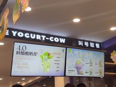 -一只酸奶牛(洪崖洞11楼店)