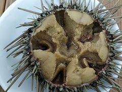 -海胆小馆(东北水饺·春柳店)