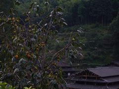 -林坑古村落
