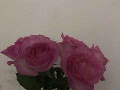 -中原麦购时代广场(南市店)