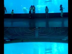 -海合安成都极地海洋公园