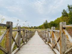 -野鸭湖国家湿地公园