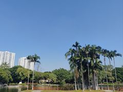 -荔湾湖公园