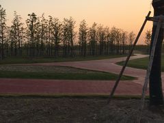 -春花秋色城市公园