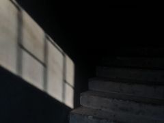 -来回·咖啡(钟村咖啡豆店)