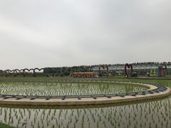 -迪茵湖田家舍生态农场