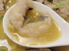 -鲁宴·鲁煨黄河生态大鲤鱼(月坛店)
