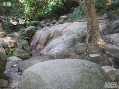 -火炉山森林公园