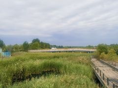 -呼兰河口湿地公园