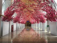 -杭州开元森泊度假乐园