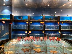 海鲜区-五谷芳乳鸽王（大梅沙总店C区）(网红打卡店)