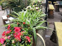 -楠柏弯休闲山庄(梨花溪店)
