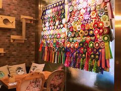 -more than meow吴止猫主题餐厅(承德 中船汇店)