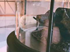 -sugarman espresso素饮糖人高新咖啡工厂