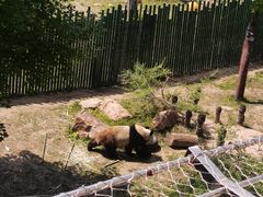 -沈阳森林动物园